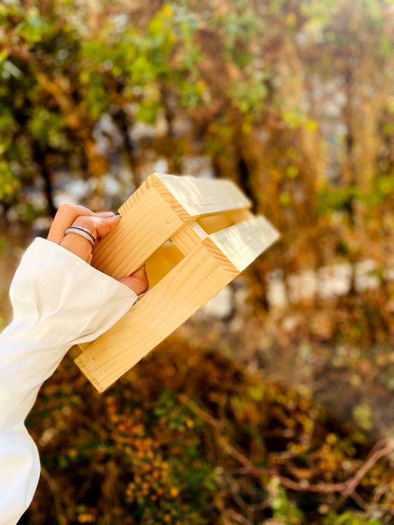 جعبه های نظم دهنده چوبی پوتوس