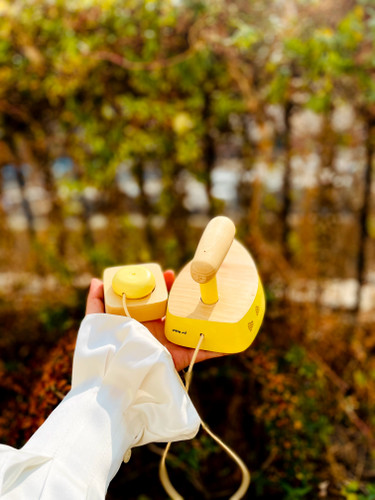 خرید اسباببازی چوبی مدل اتو چوبی پوتوس