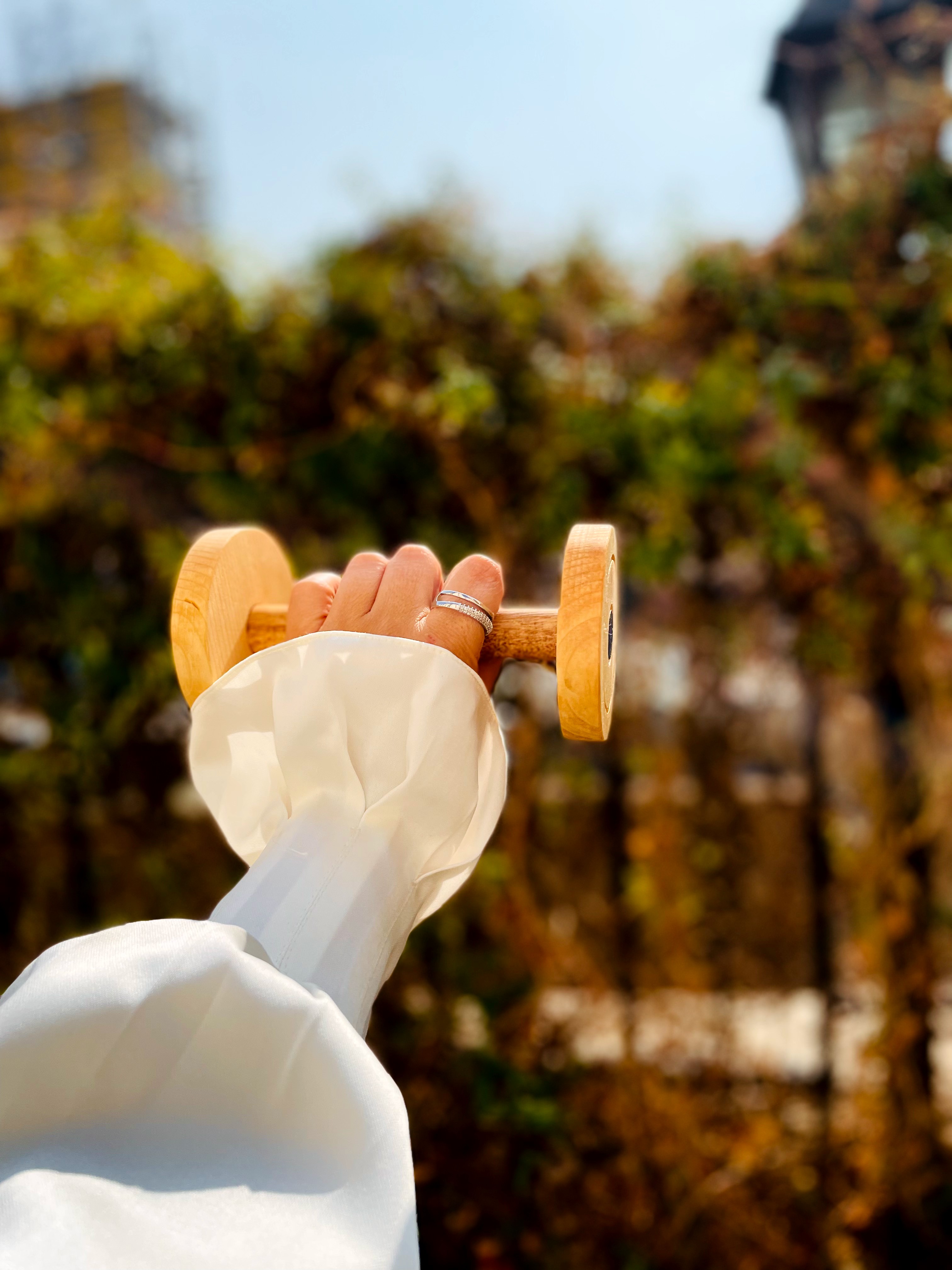 دمبل اسباب بازی چوبی پوتوس