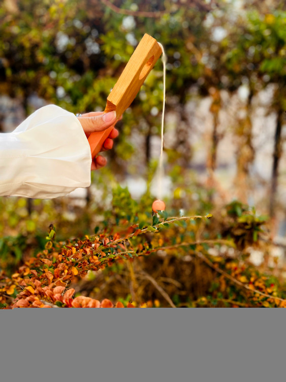 خرید اسباببازی چوبی مدل توپ و حلقه چوبی پوتوس