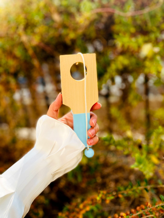 خرید اسباببازی چوبی مدل توپ و حلقه چوبی پوتوس