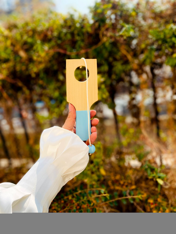 خرید اسباببازی چوبی مدل توپ و حلقه چوبی پوتوس