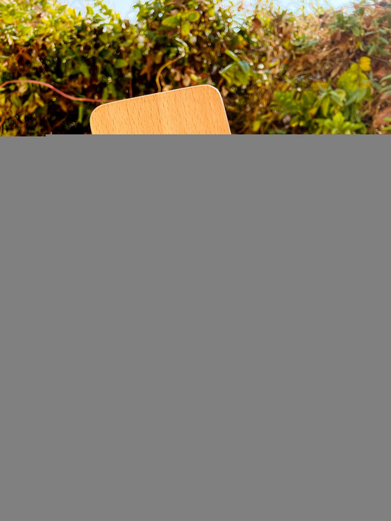 خرید اسباببازی چوبی تلفن همراه چوبی پوتوس