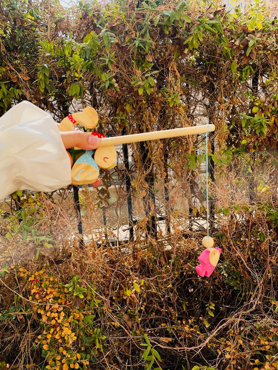 خرید اسباببازی چوبی مدل قلاب ماهیگیری و ماهی چوبی پوتوس