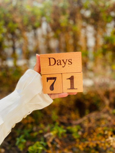 گاهشمار چوبی راش