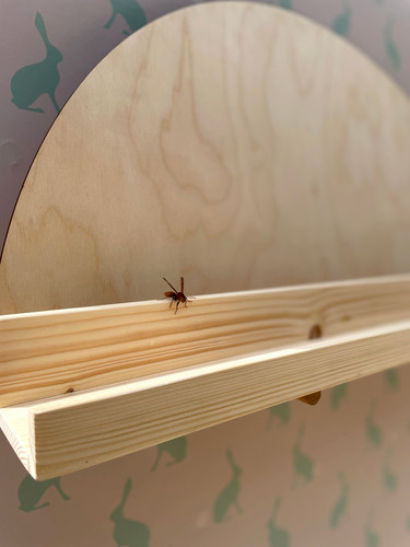 شلف دیواری جلو لبه دار کم عرض یا کتابخانه ای