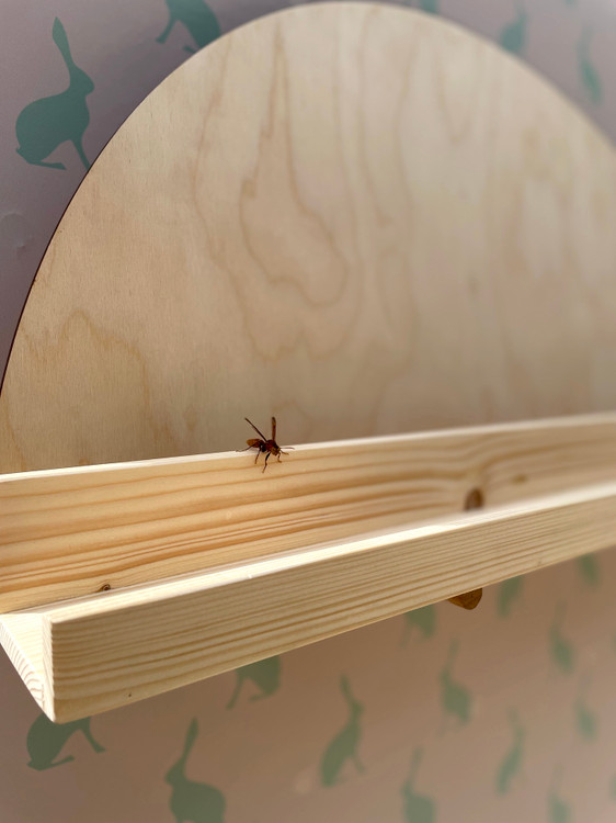 شلف دیواری جلو لبه دار کم عرض یا کتابخانه ای