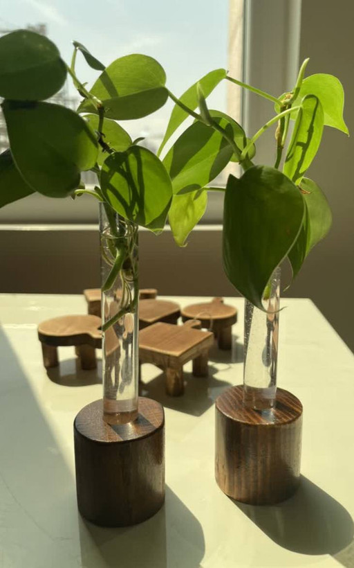 خرید پایه چوبی گل پوتوس